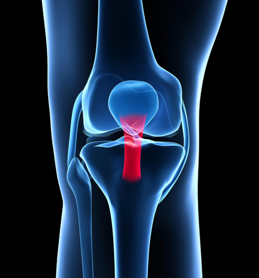 How to Manage and Treat a Torn ACL: Advanced Techniques and Scientific Insights